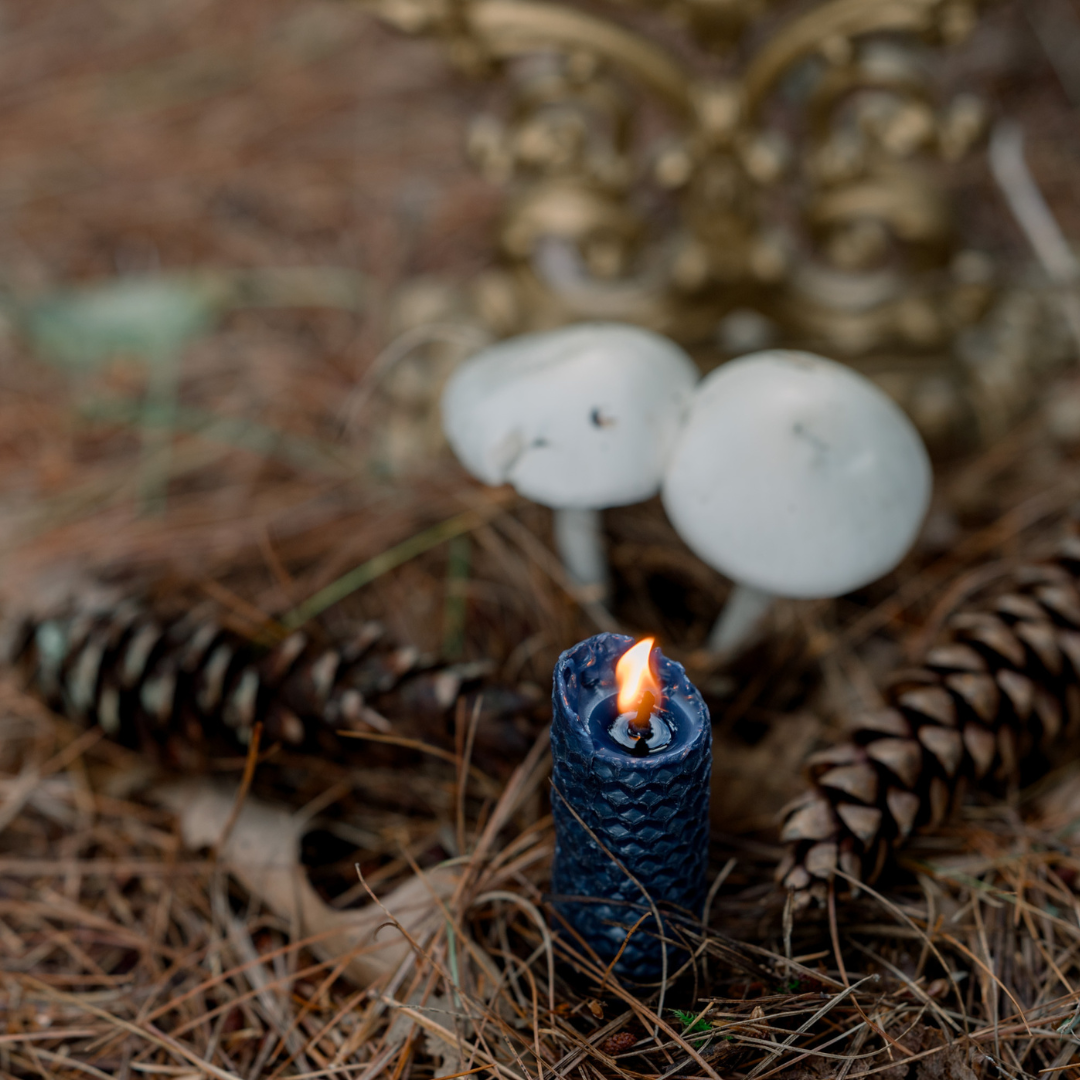 Honorer les ancêtres du territoire pour Samhain