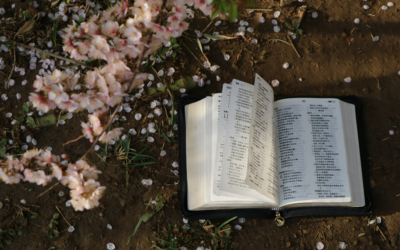 Défi lecture du printemps : cheminer
