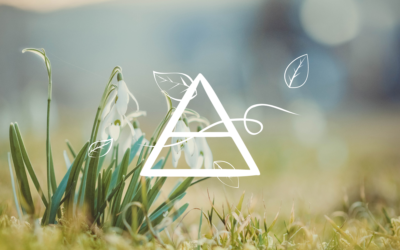 Ce printemps sur Magie saisonnière : exploration de l’élément air et de la magie initiatique