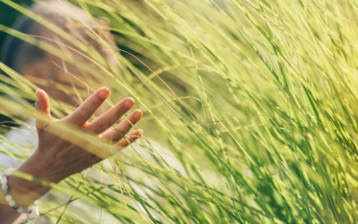 3 rituels pour attirer l’abondance