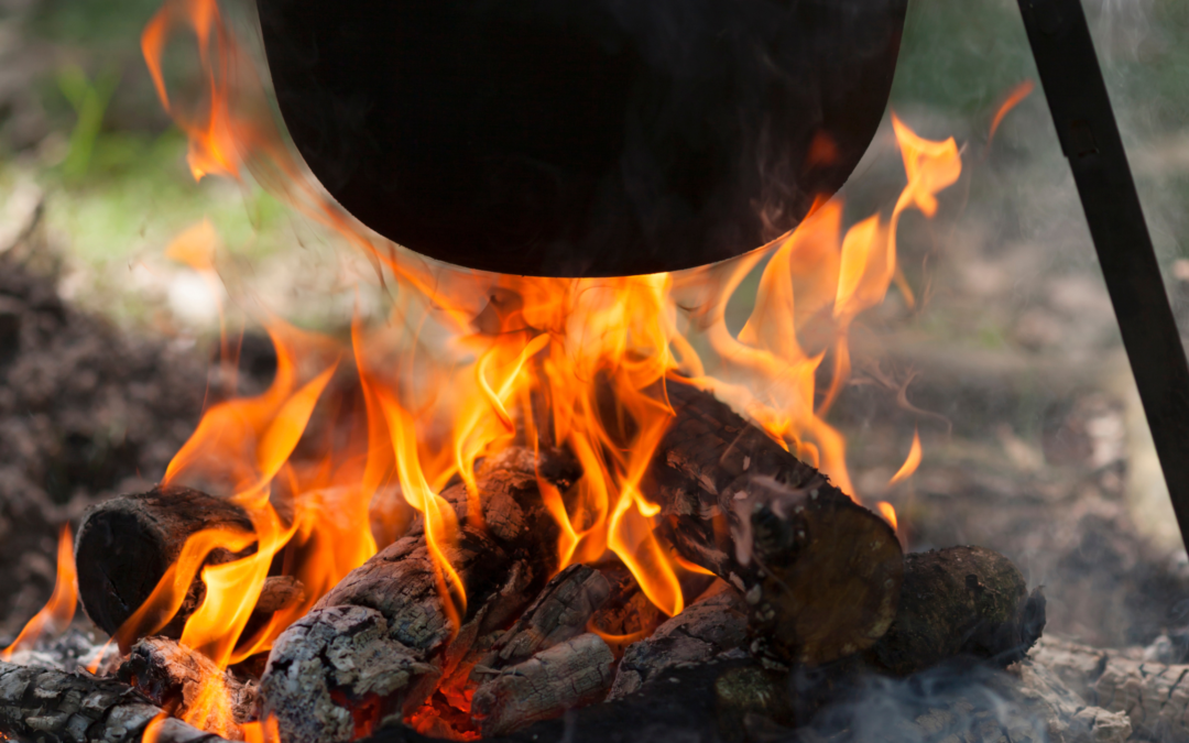 Défi lecture de l’été : le feu nourricier