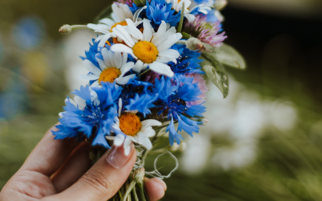 Cultiver la Créativité : L&rsquo;Art des Plantes Inspirantes