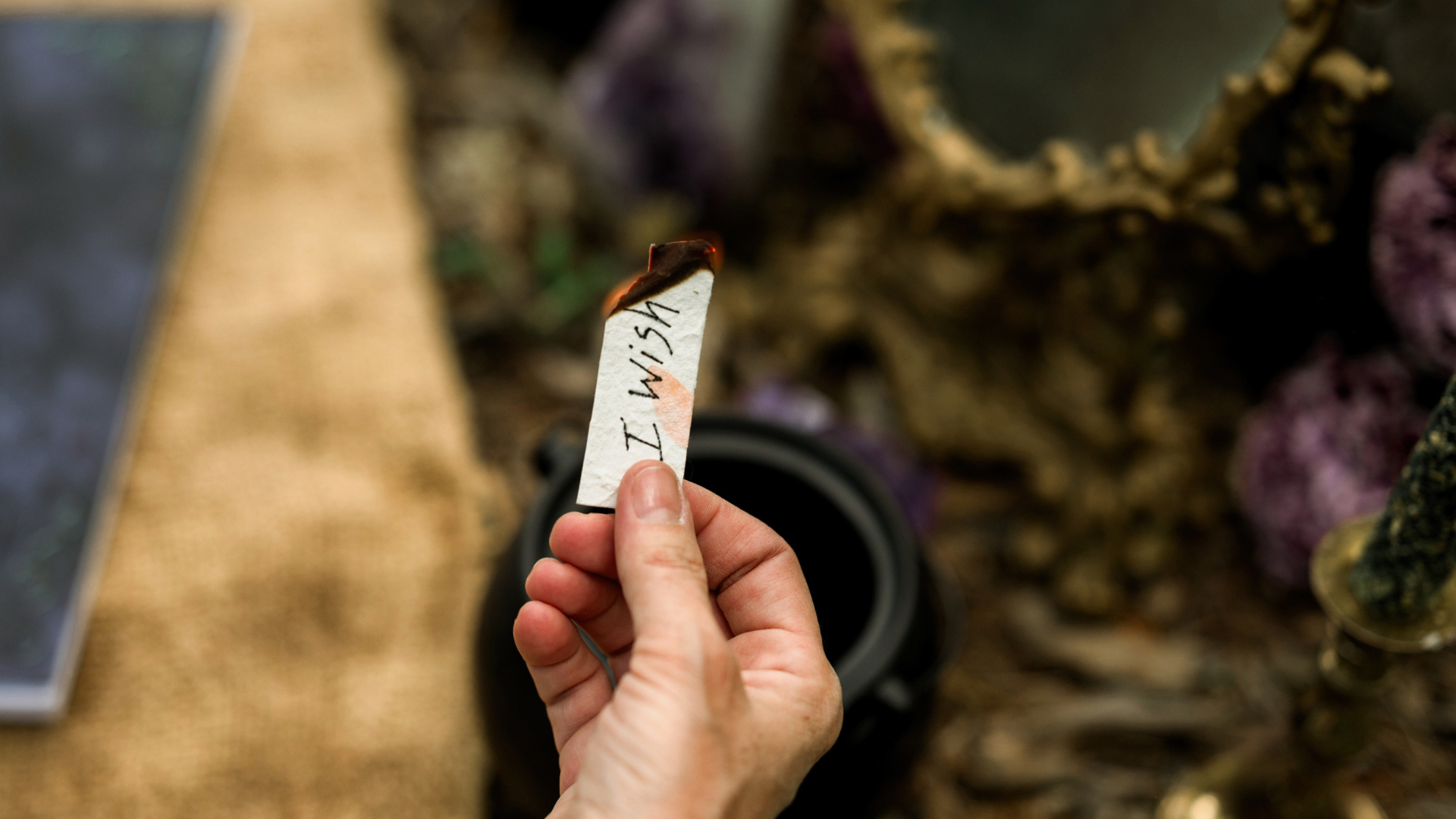 Image à la Une – Article – 2026-02-25T183101.792