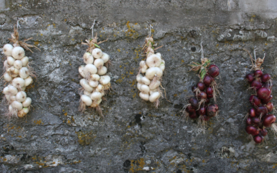 Rituel détaillé : tresse d’oignons pour la protection du foyer