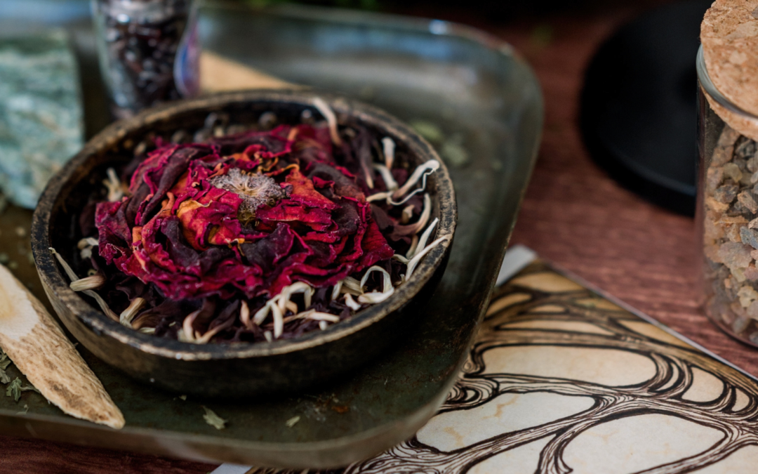 La magie des plantes : une introduction aux savoirs végétaux