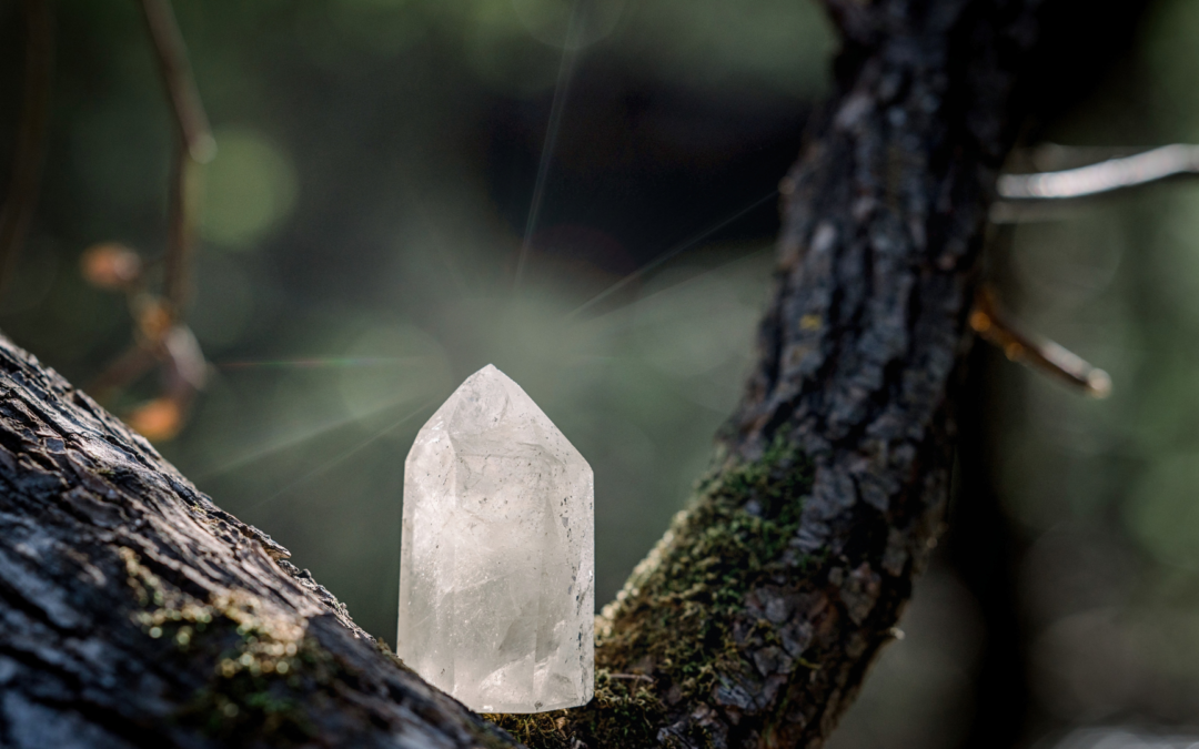 La pop culture comme nouveau folklore ? quand les récits modernes transmettent la sagesse ancienne