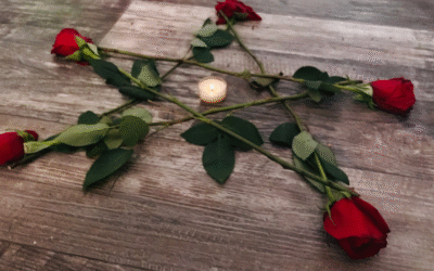 La rose : botanique, symbolisme, histoire et usages magiques