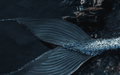 Les sirènes : entre mythes, mystères et magie des eaux