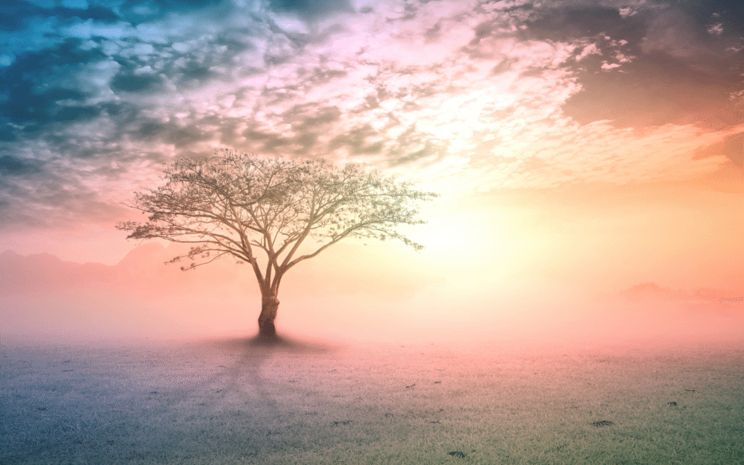 L’Arbre de vie : axe du monde, pont entre les mondes et symbole universel