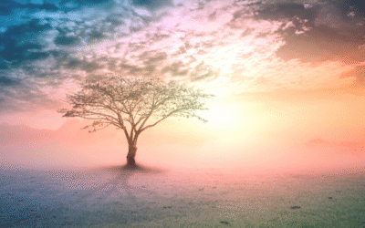 L’Arbre de vie : axe du monde, pont entre les mondes et symbole universel