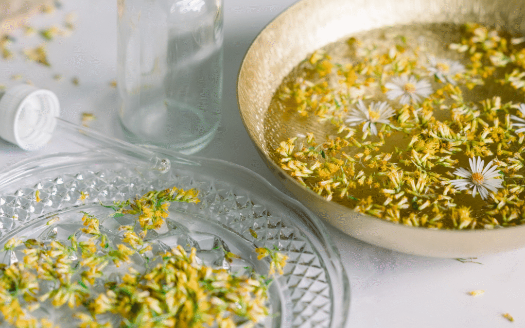 4 Plantes sacrées de saison de Juin