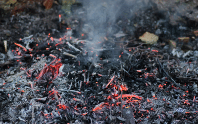 La cendre : Vestige du feu, mémoire de la terre