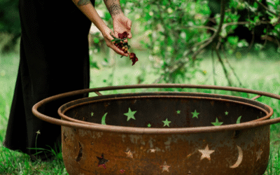 Challenge divinatoire : la métamorphe