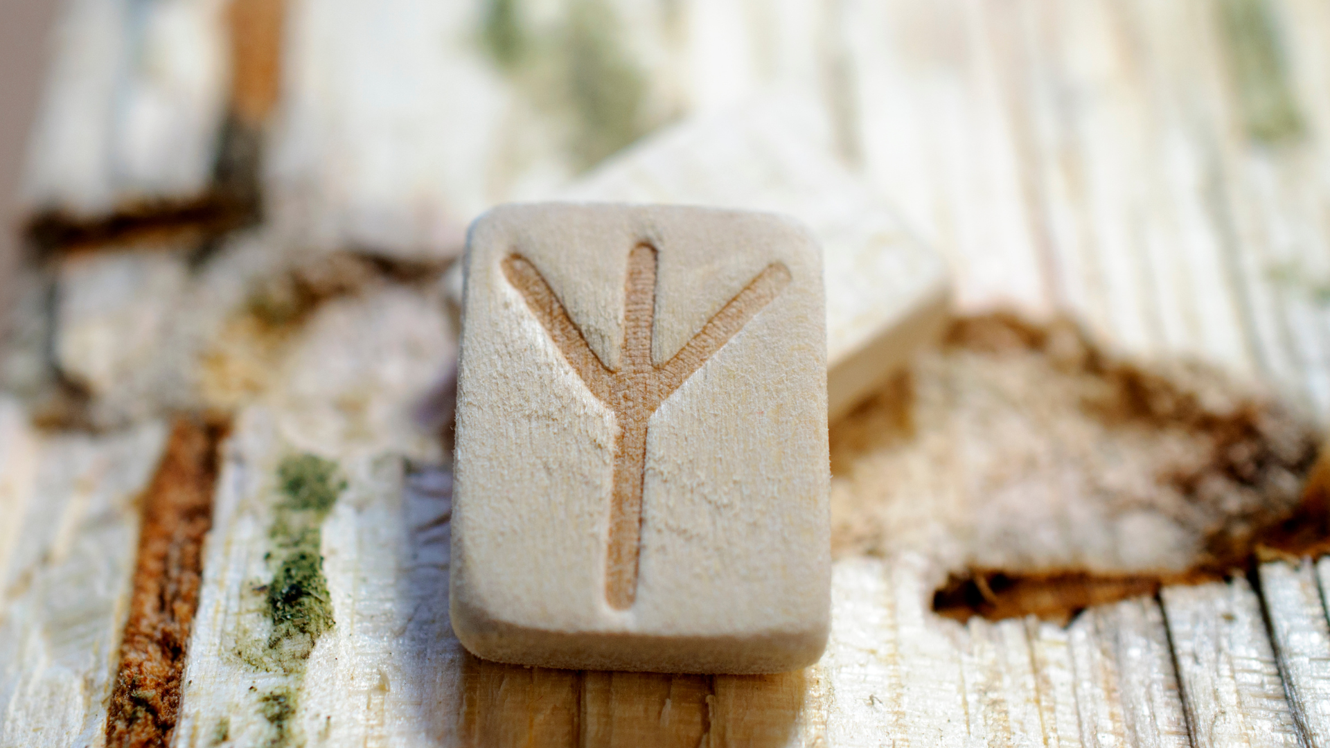 Algiz (Elhaz) : Protection, connexion spirituelle et élévation Algiz (Elhaz) : Protection, connexion spirituelle et élévation