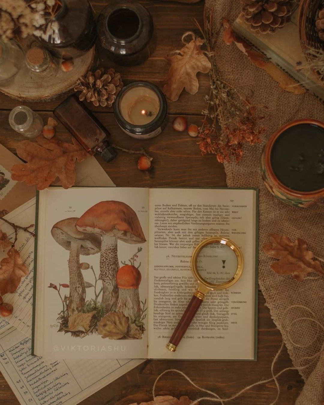 Les mystères cachés de l’équinoxe d’automne