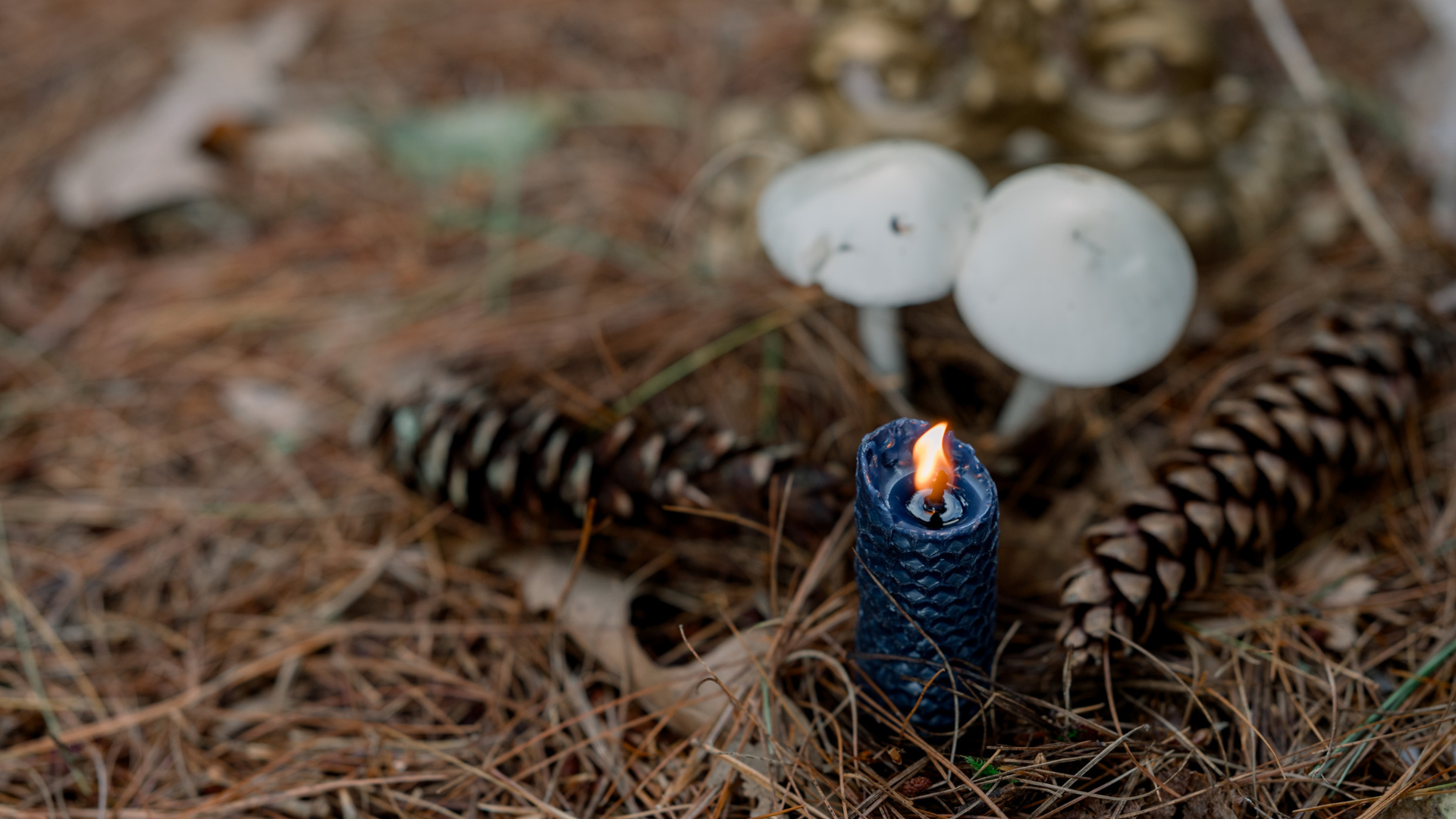 Les mystères cachés de l’équinoxe d’automne Les mystères cachés de l’équinoxe d’automne