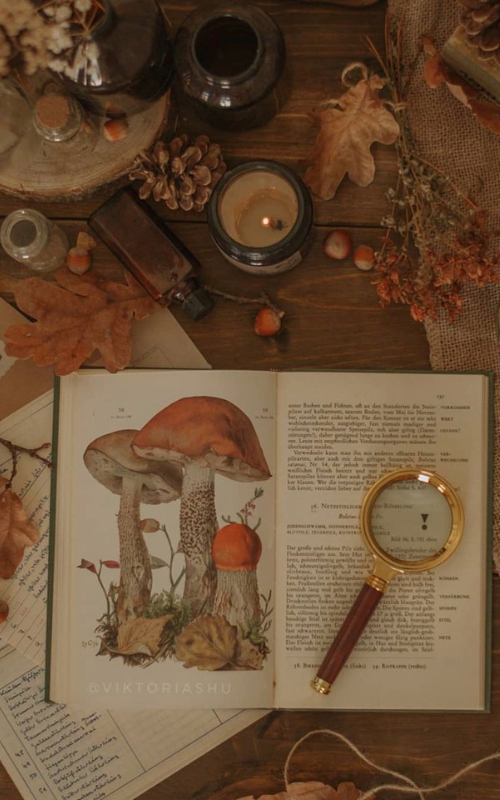 Célébrer l’Équinoxe d’Automne Ensemble