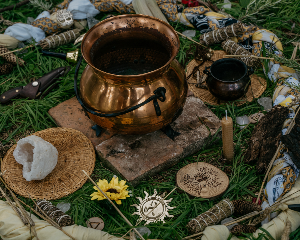 Les Augures : Lire les signes du vivant et des mystères