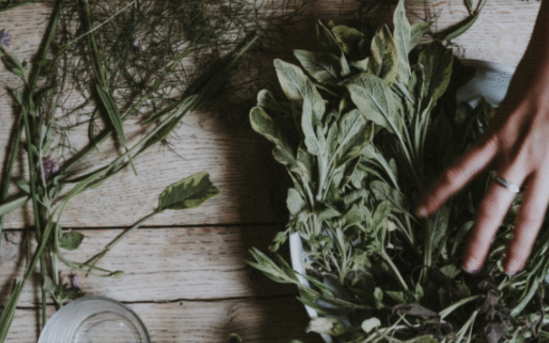 Quelle plante sommeille en vous ?