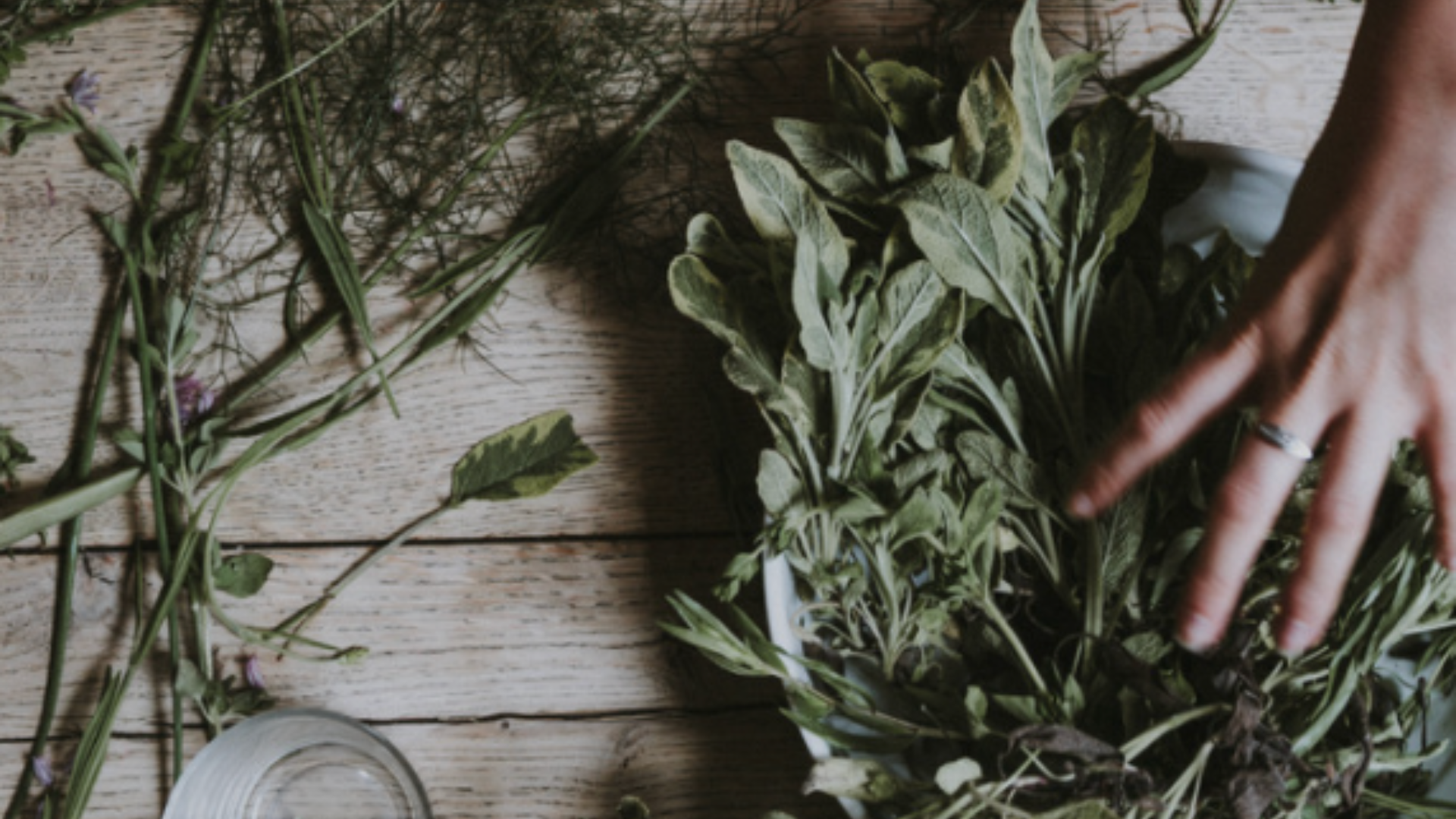 Quelle est la plante qui sommeille en vous ? Quelle est la plante qui sommeille en vous ?