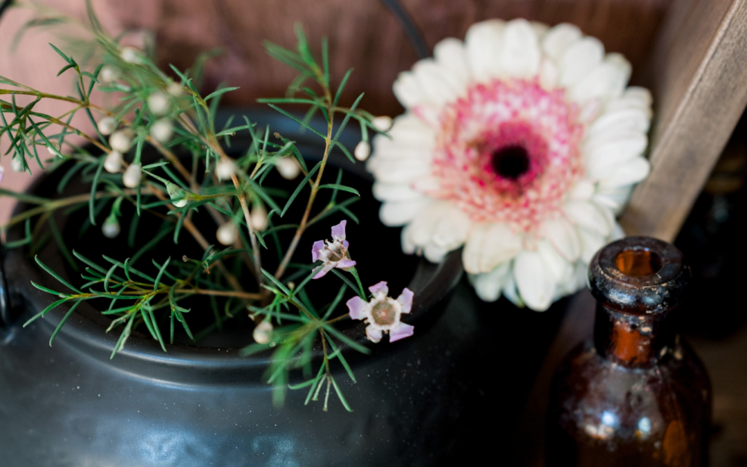 Rituels cosy : La magie cachée dans les séries doudous – The Good Witch