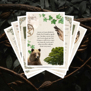 pack fiches grimoires janvier