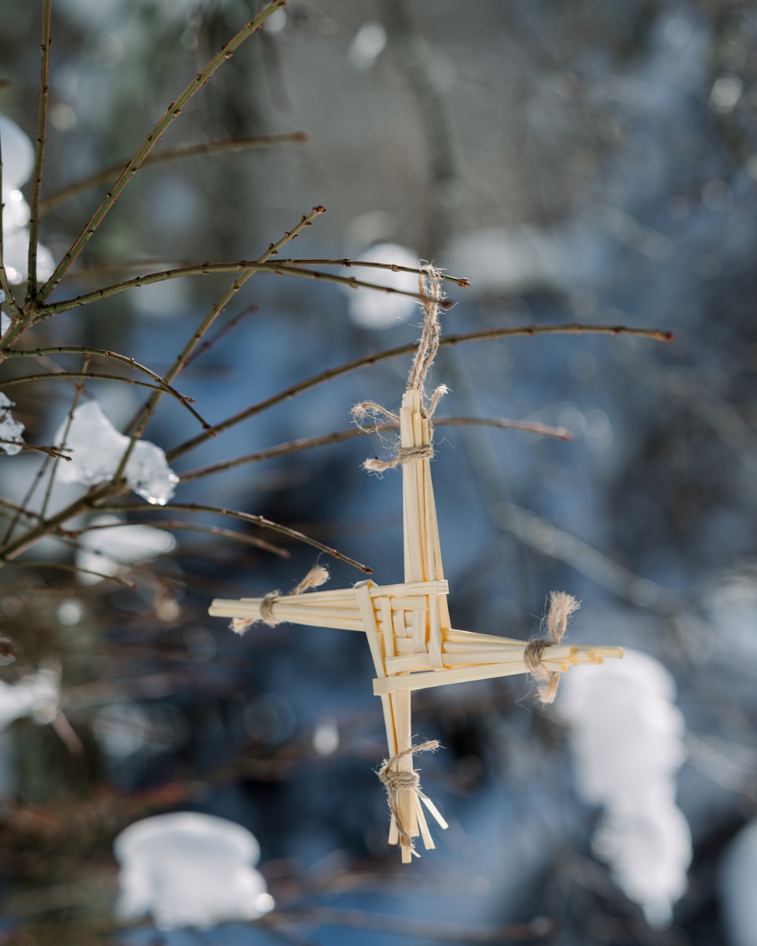 Février : Le serment de l'étoile