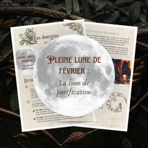 Fiche grimoire pleine lune février