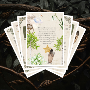 fiches grimoire février