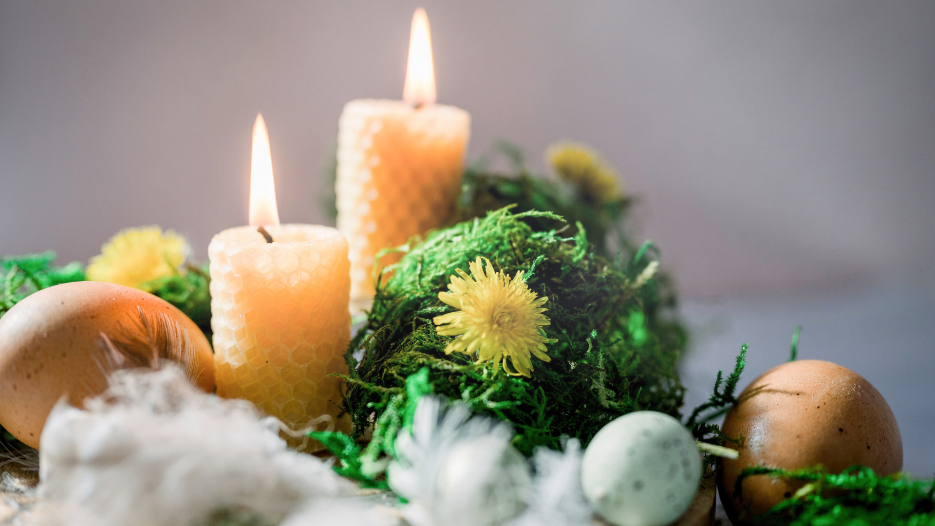 15 activités magiques pour Mars