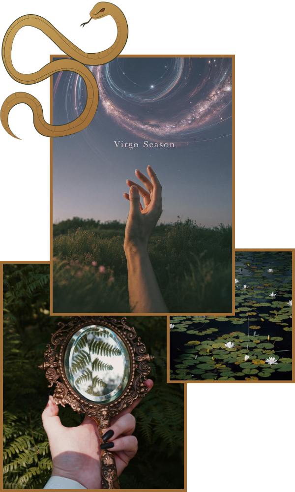 Magie saisonnière 2027 - Alliée du Nord - MysticMoon