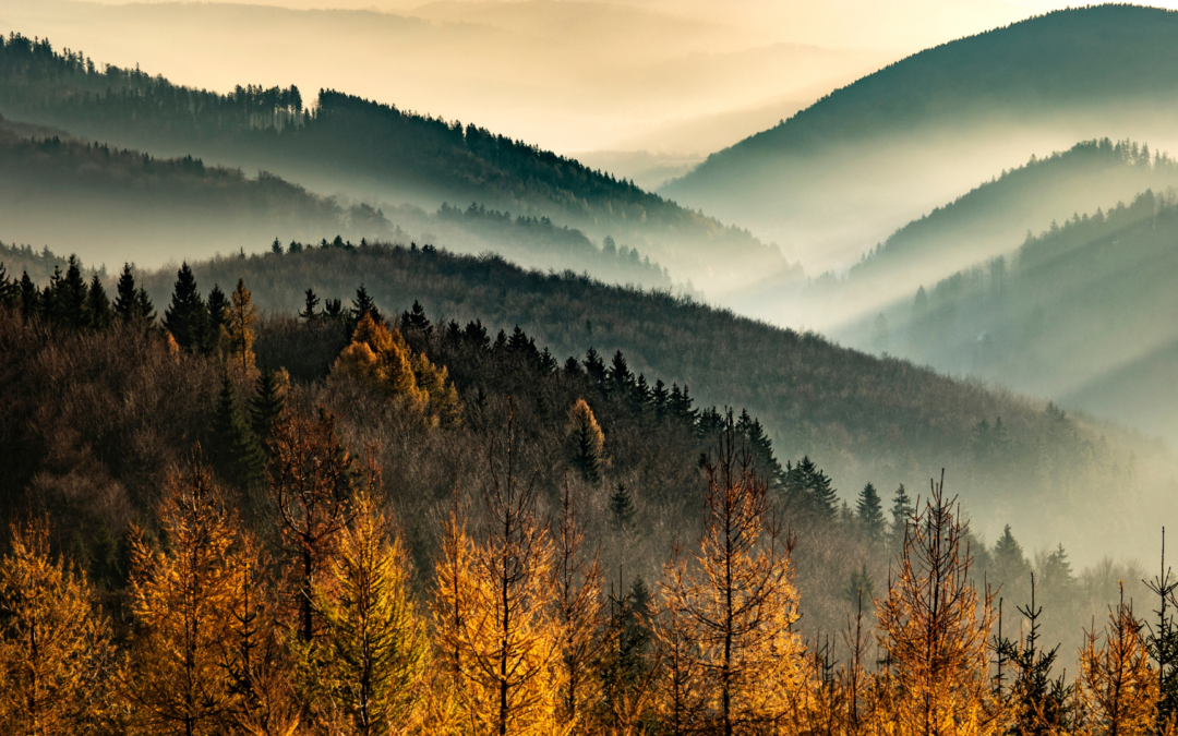 Septembre et la magie de la brume