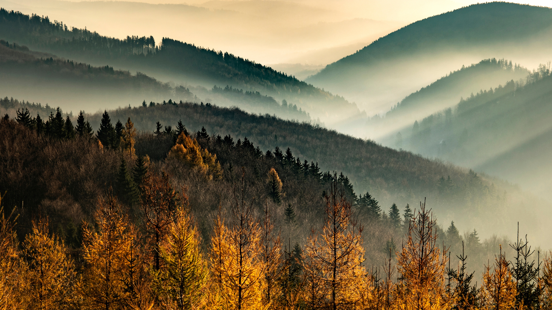 Septembre et la magie de la brume Septembre et la magie de la brume