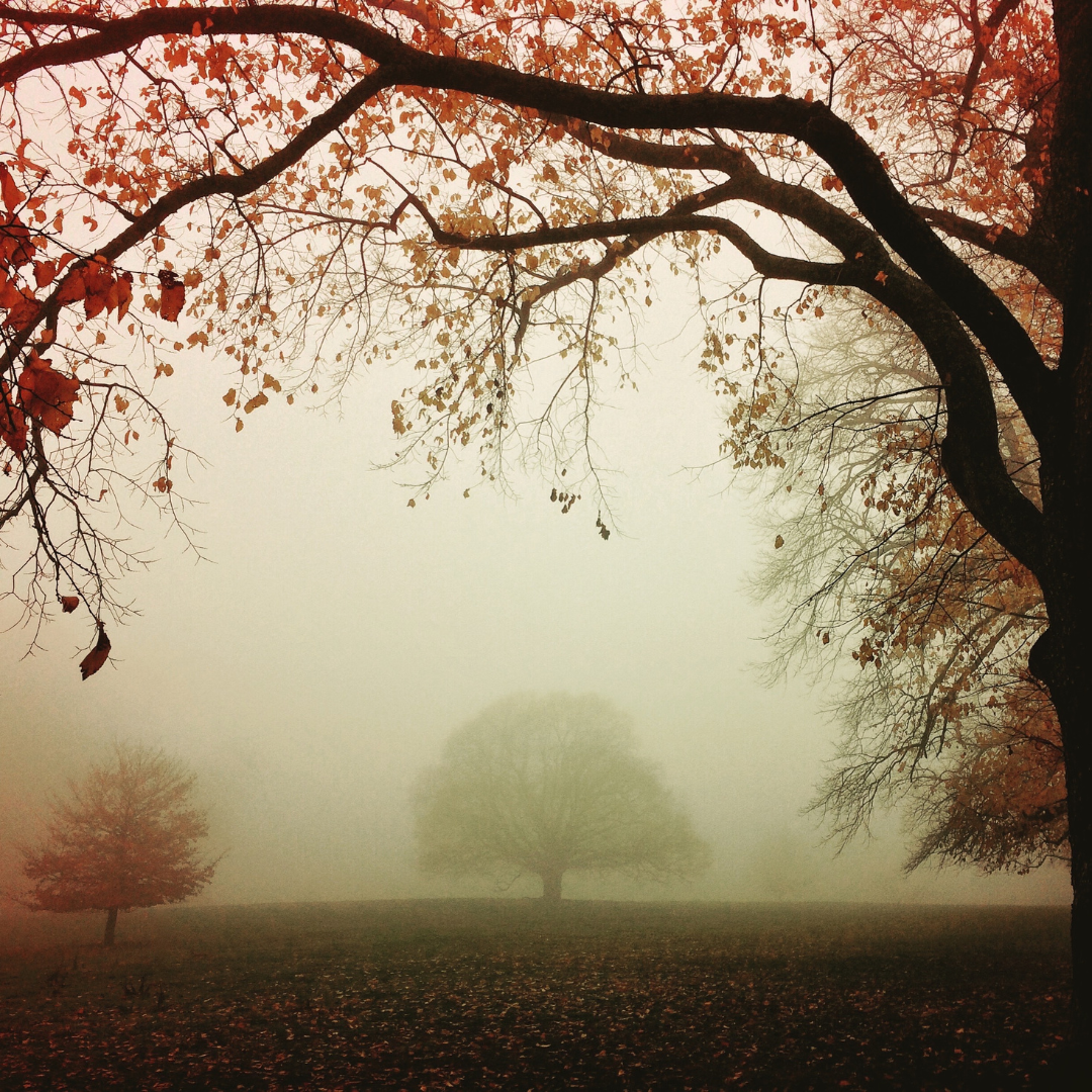 brume