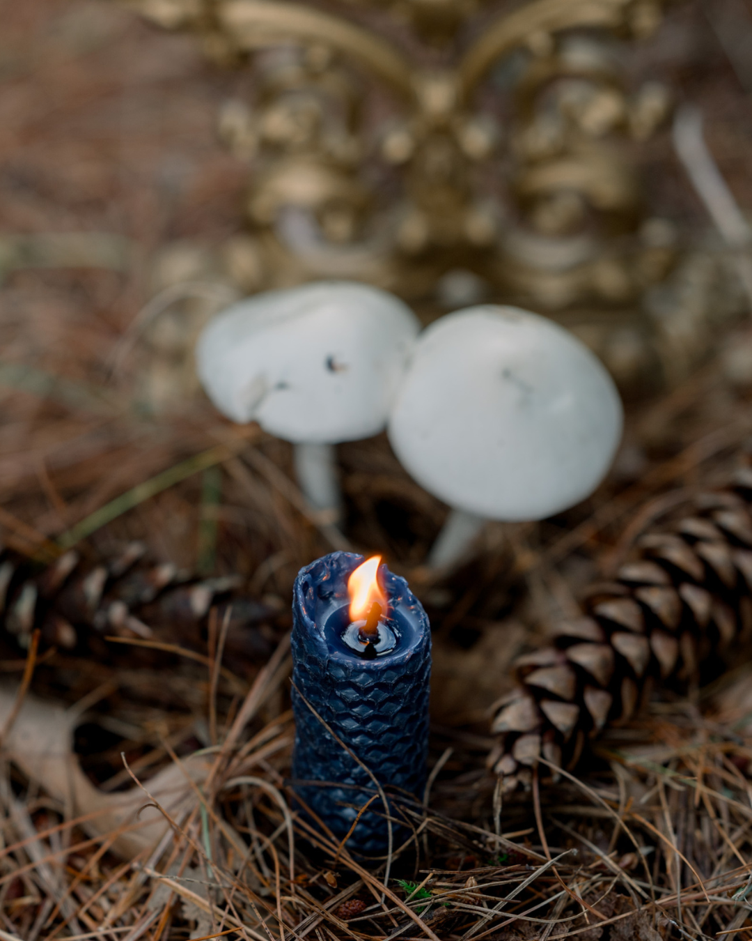 Samhain, l'art de passer un seuil