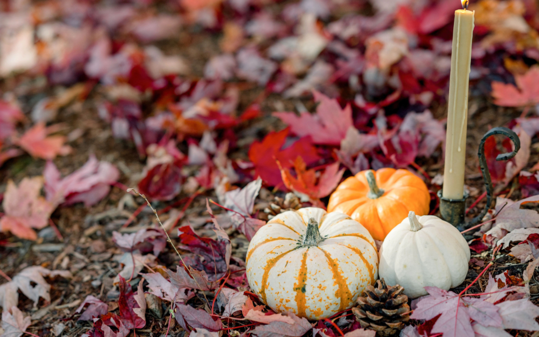 L&rsquo;équinoxe d&rsquo;automne : Ce que l&rsquo;égalité du jour et de la nuit dit vraiment de nous