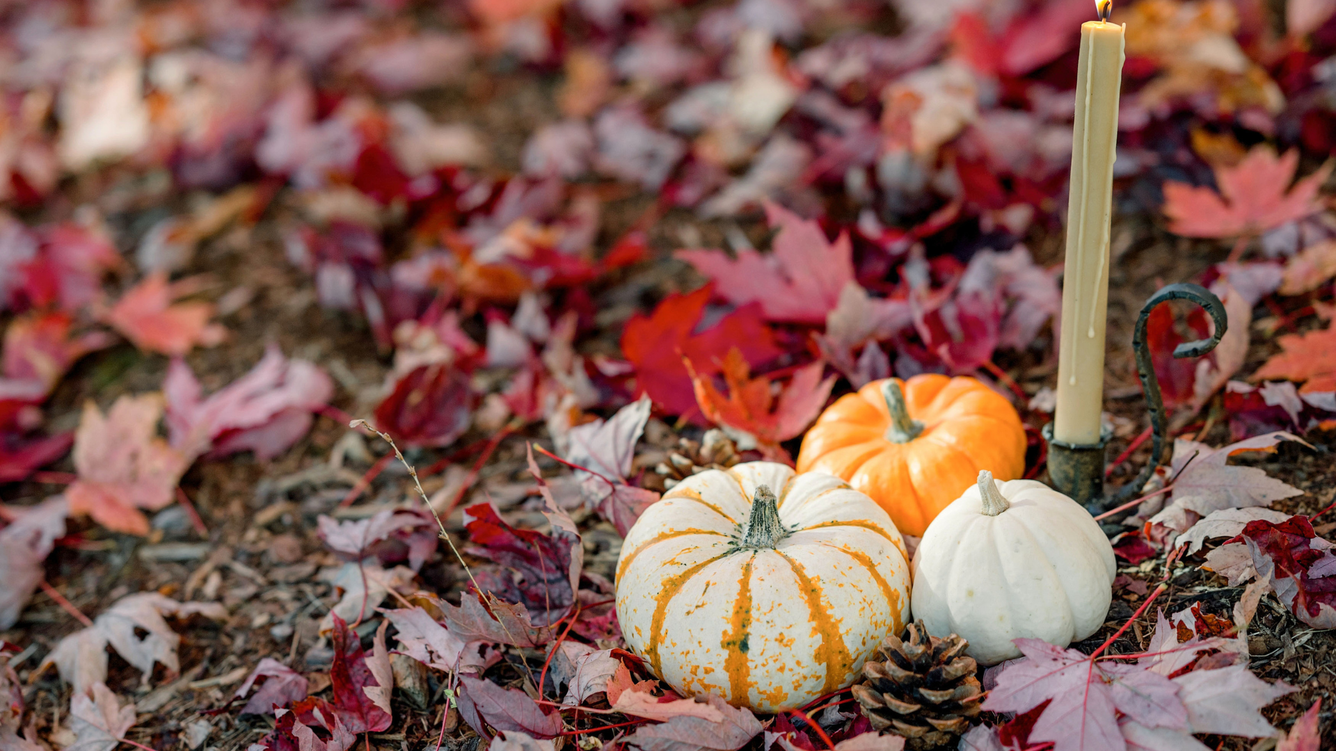 L’équinoxe d’automne : Ce que l’égalité du jour et de la nuit dit vraiment de nous L'équinoxe d'automne : Ce que l'égalité du jour et de la nuit dit vraiment de nous