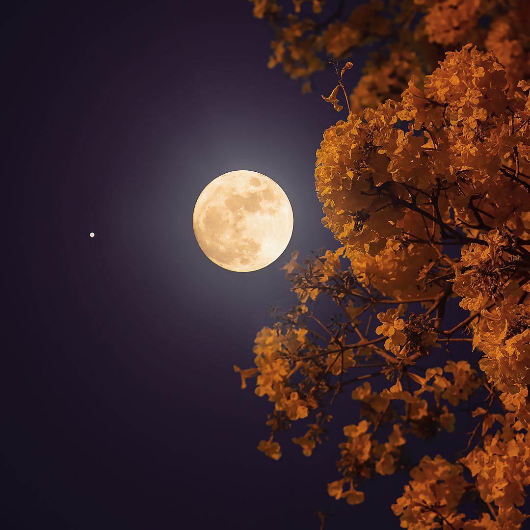 automne